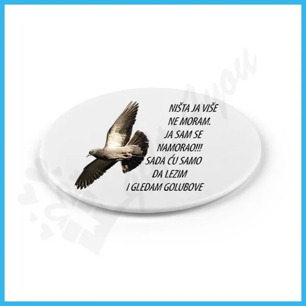 Morati ili ne magnet