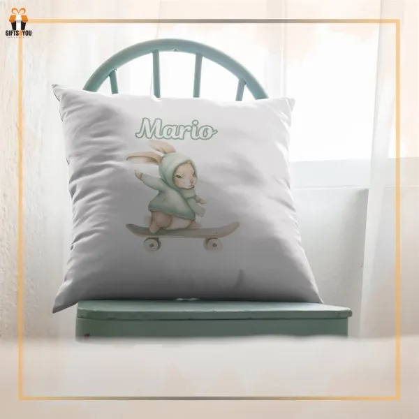 Proizvod Jastuk 40x40 - Zeka skejter Slika